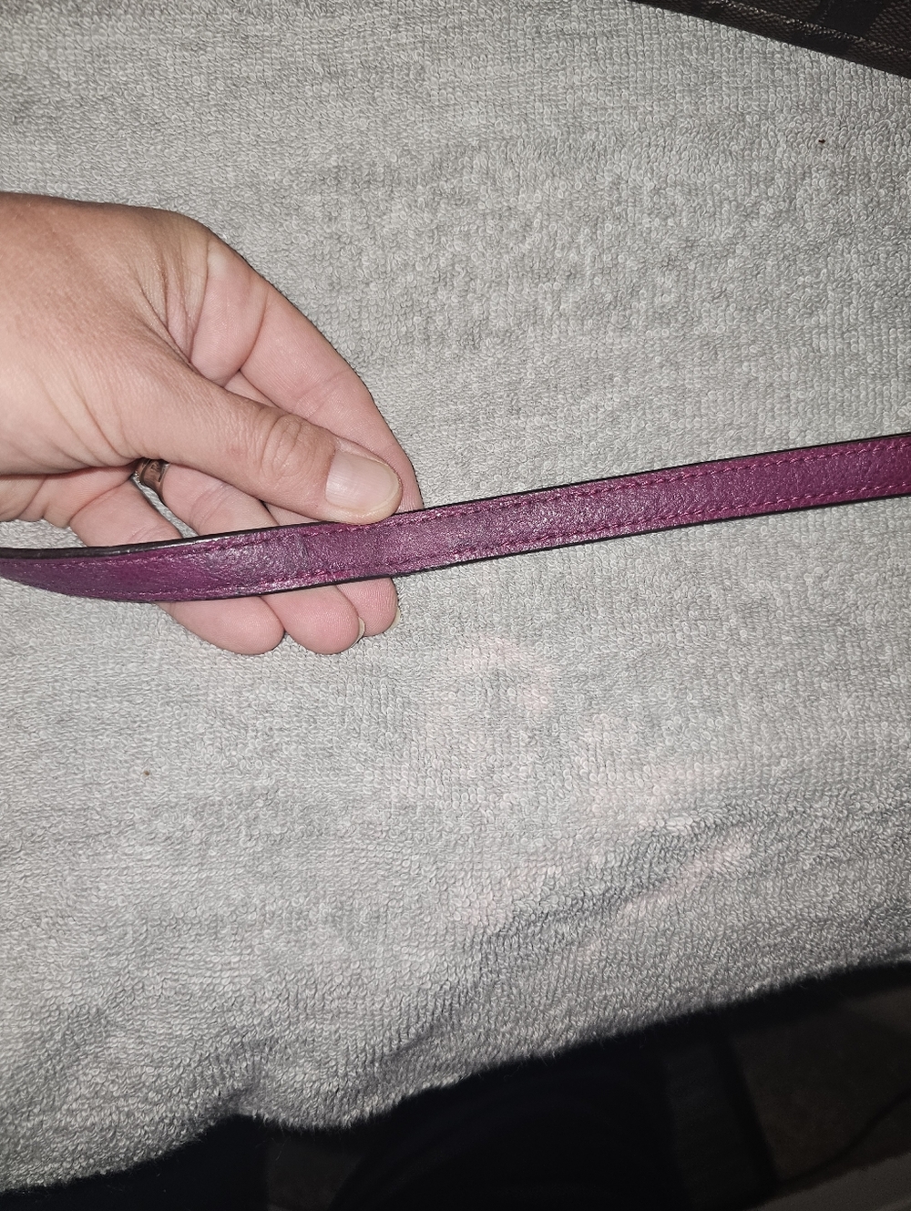 Coach Brown Signature Crossbody with Plum Trim - Picture 3 of 8